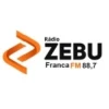 Zebu FM Franca
