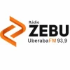 Zebu FM