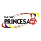 Rádio Princesa 99.1 FM